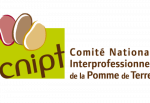 cnipt