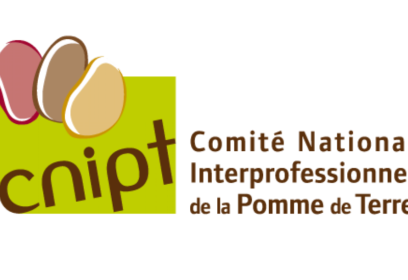 Logo cnipt