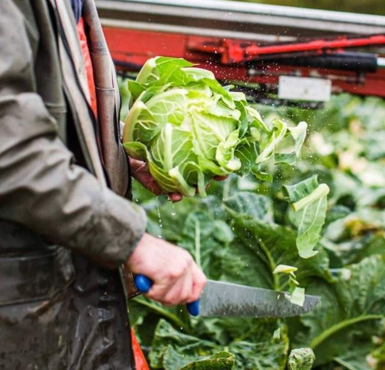 Market Farming: Prince de Bretagne Aims to Double Its Organic Production